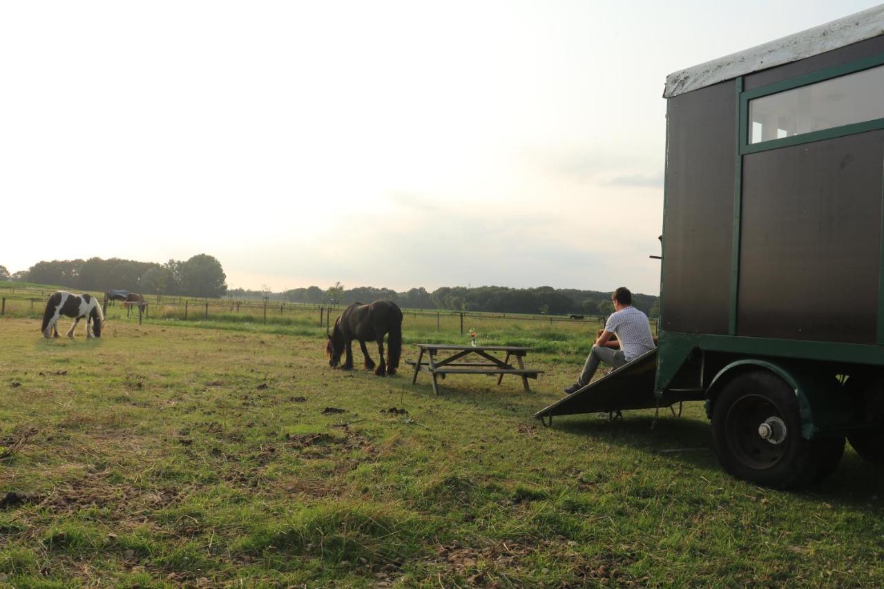 Slapen Tussen De Paarden Hotel Essen Kültér fotó