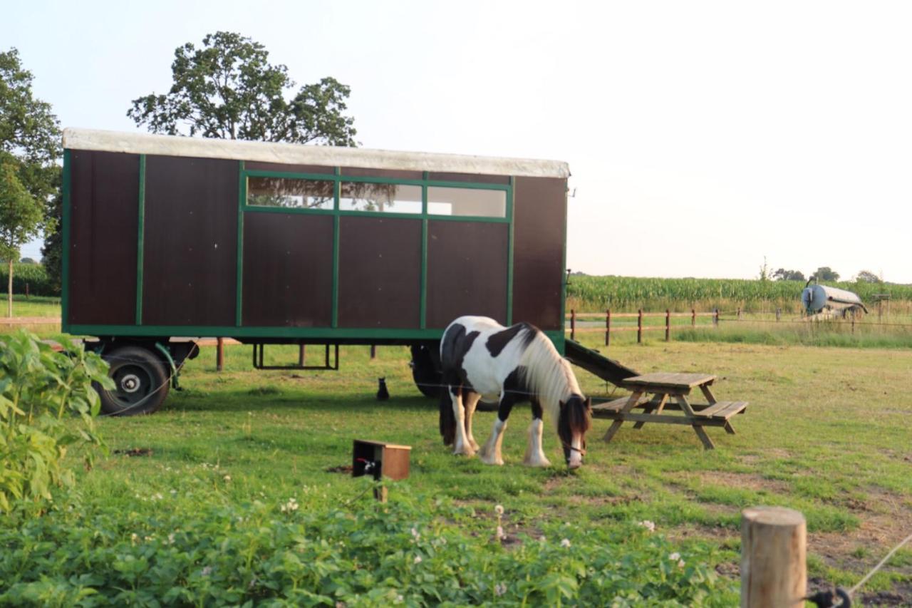 Slapen Tussen De Paarden Hotel Essen Kültér fotó